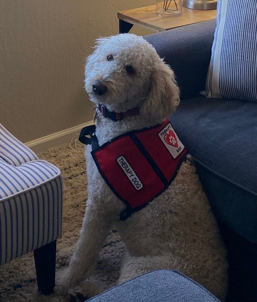 Fire Sky Kennels trained graduate